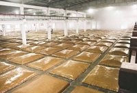 y(tng)xϵİ׾ƏSO(sh)Ӌ