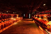 ʲô׾ƾƽѱȰ׾ƾƿƸã